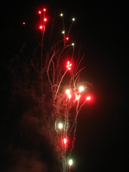 IMG_4967Medium.jpg
