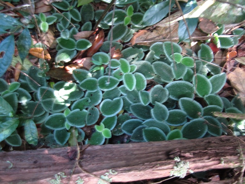 1231_zpsacf87d5d.jpg