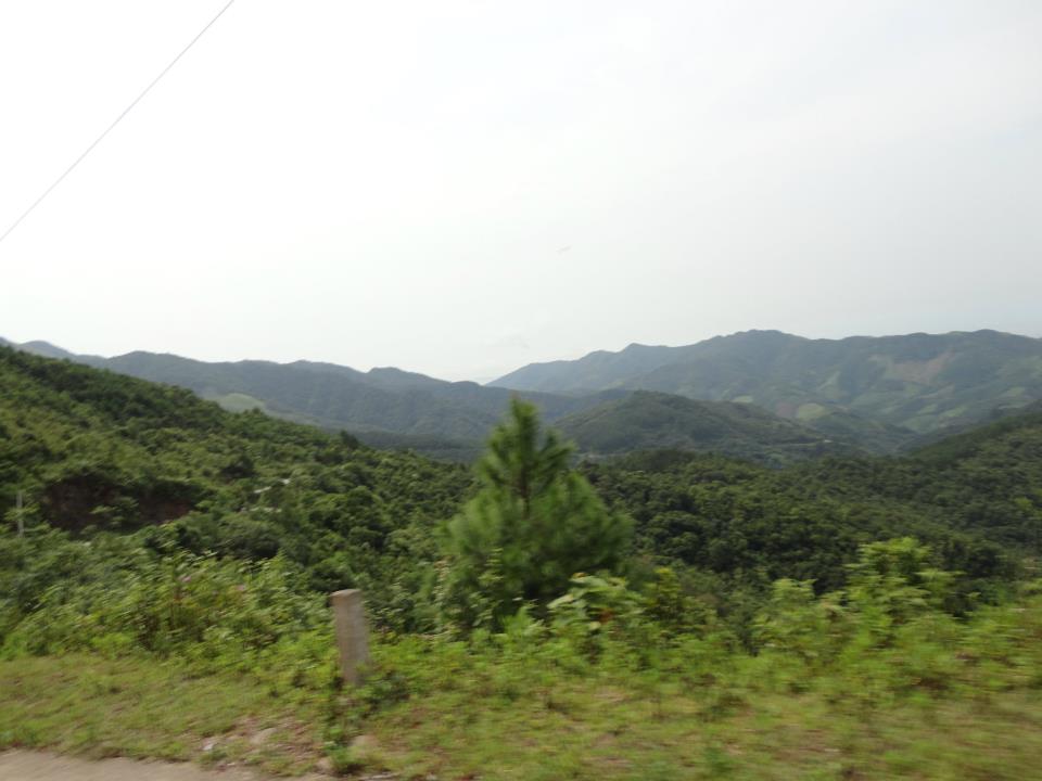 527216_211276055666769_1509087388_n.jpg
