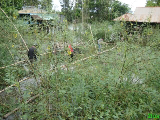 IMG_1556.jpg