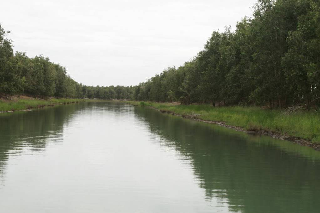 _MG_9495.jpg