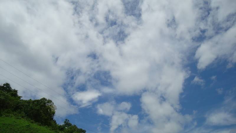 DSC03281.jpg