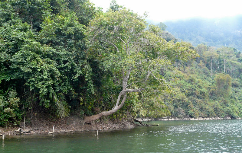 P1050587.JPG