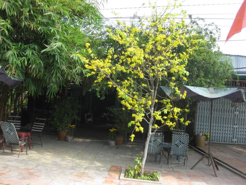 DongThapTET2011077.jpg