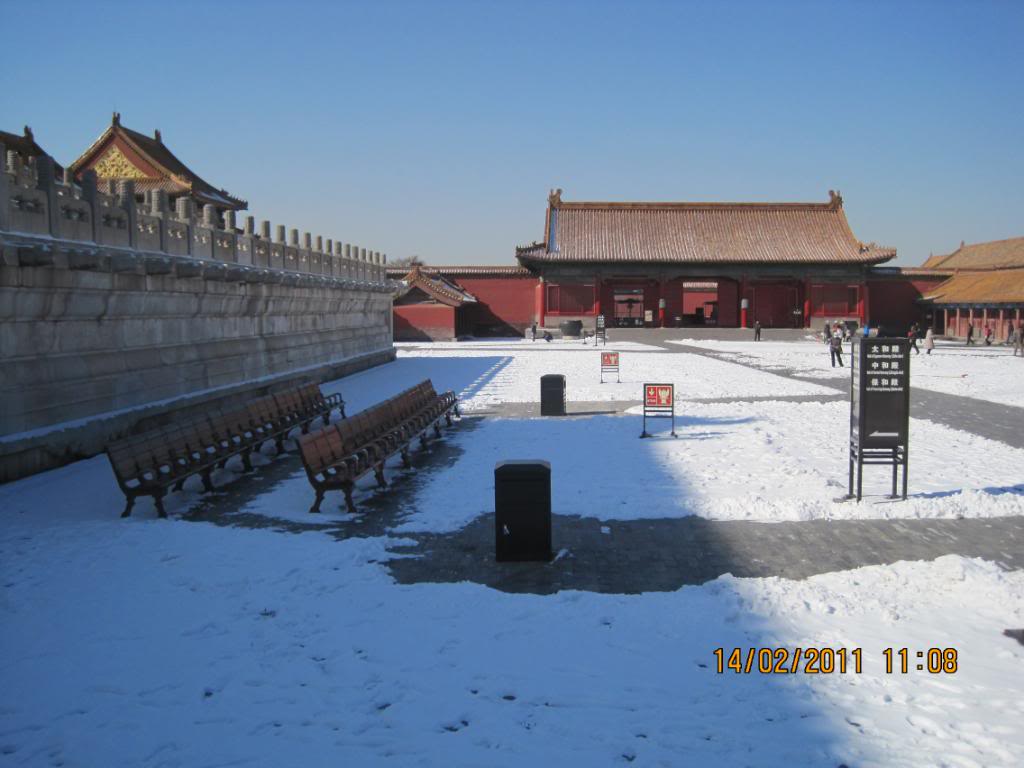 IMG_5918.jpg