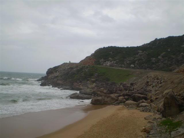P1010290Medium.jpg