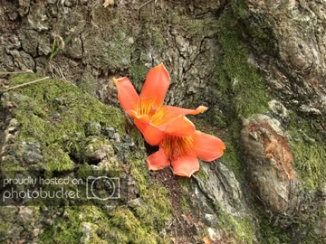 IMG_0527copy.jpg
