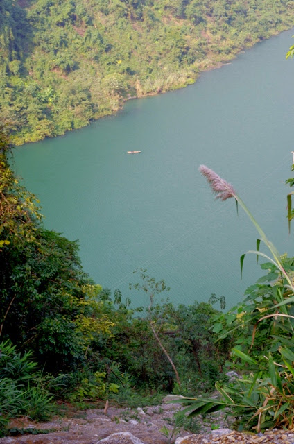 IMGP0905.JPG