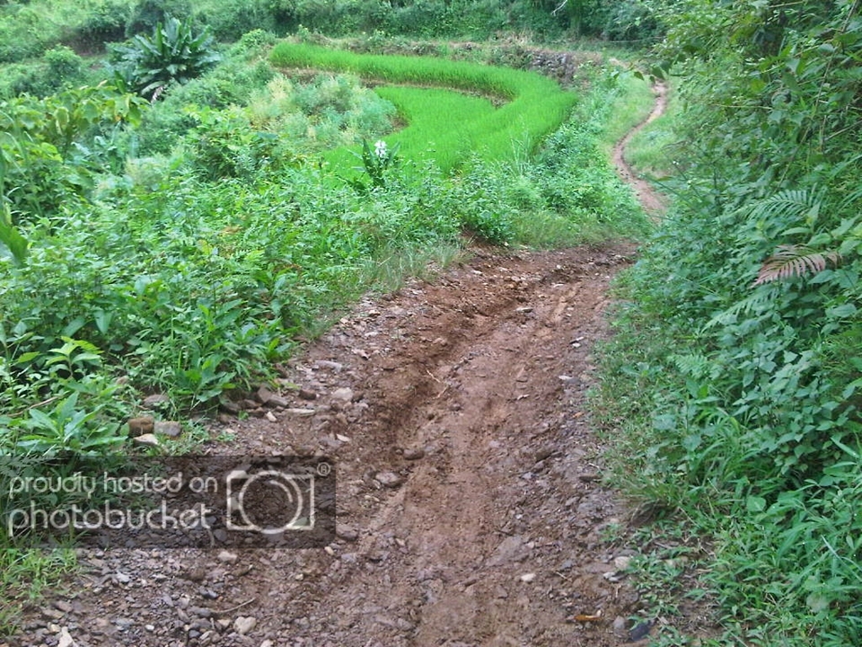IMG-20120923-00154.jpg