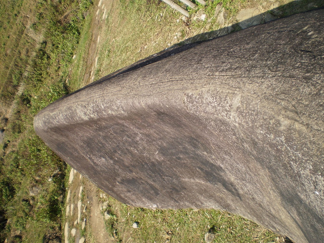 PC170115.JPG