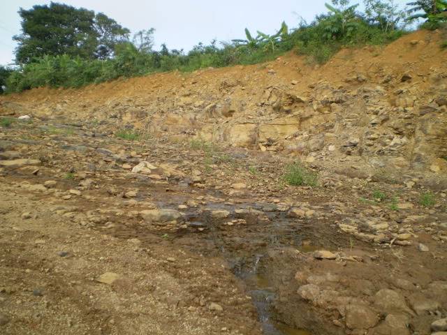 P1010110.jpg