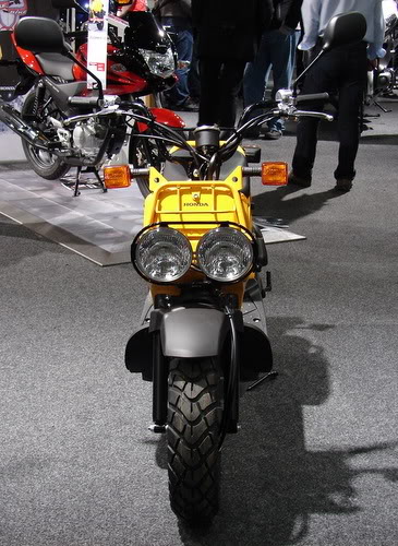 DSC01615-1.jpg