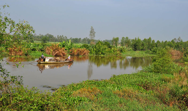 DSC_5380.jpg