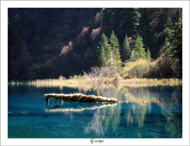 R-FiveColorLake16.jpg