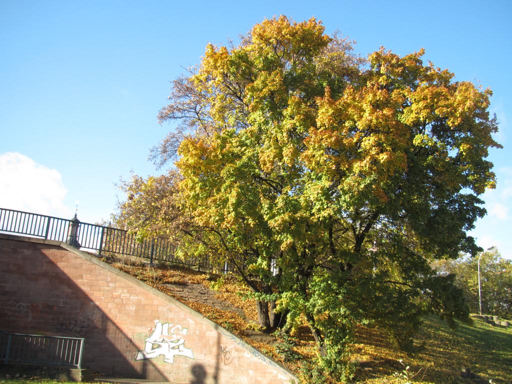 IMG_8740_zps4fa53c8c.jpg