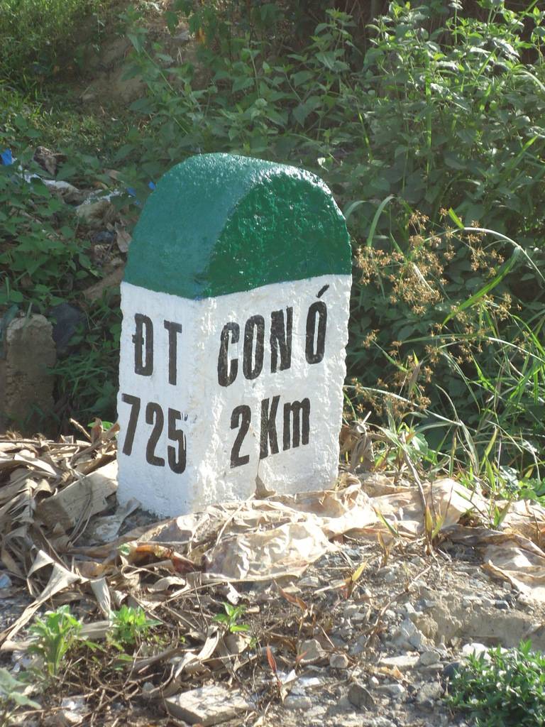 DSC01215_zpsxsuoyebw.jpg