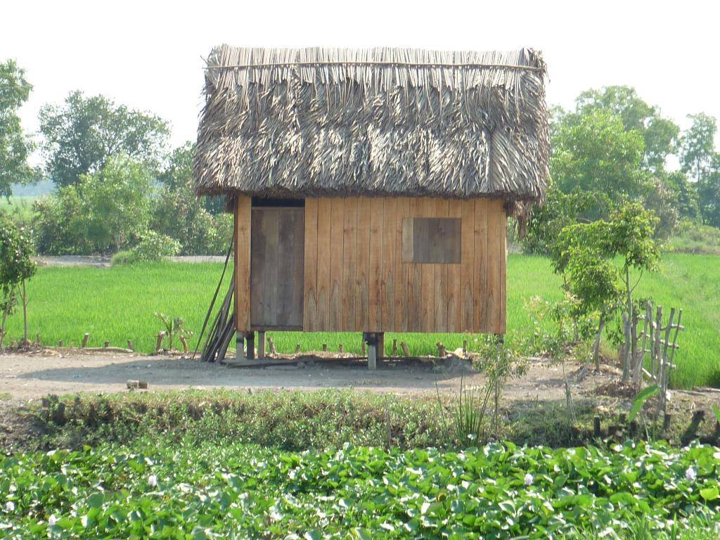 P1000850.jpg