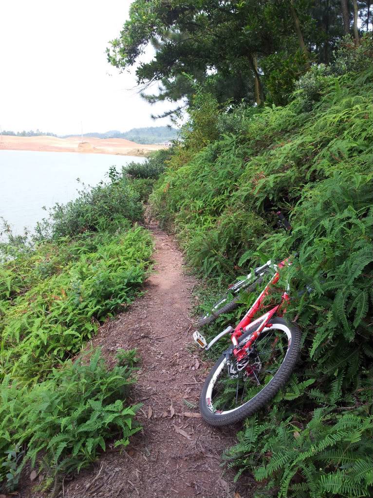 2011-10-15122916-1.jpg