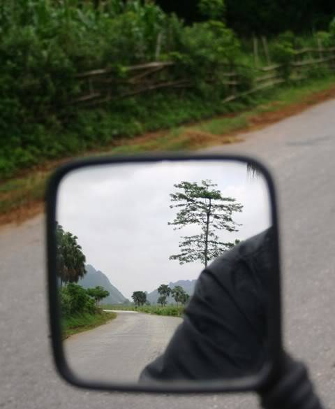 Backview.jpg