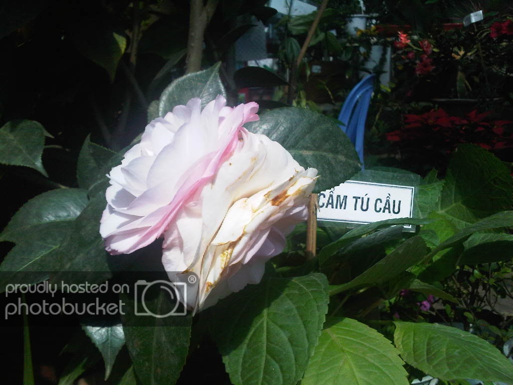 IMG-20111122-00173.jpg