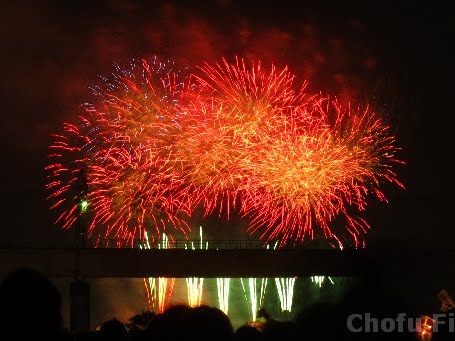 IMG_2075.jpg