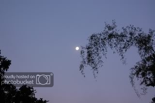 DSC_0136.jpg