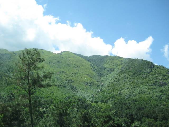IMG_0357.jpg