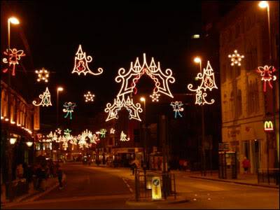 xmas_lights_06_boar_400x300.jpg