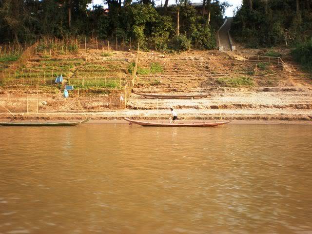 P2040574.jpg