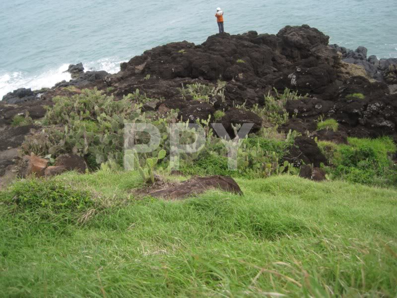 IMG_0257Copy.jpg