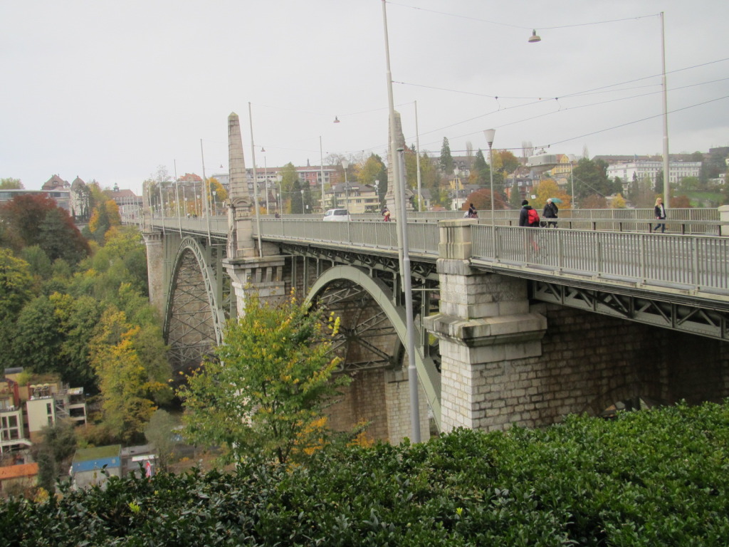 IMG_0197_zps898bbcd2.jpg