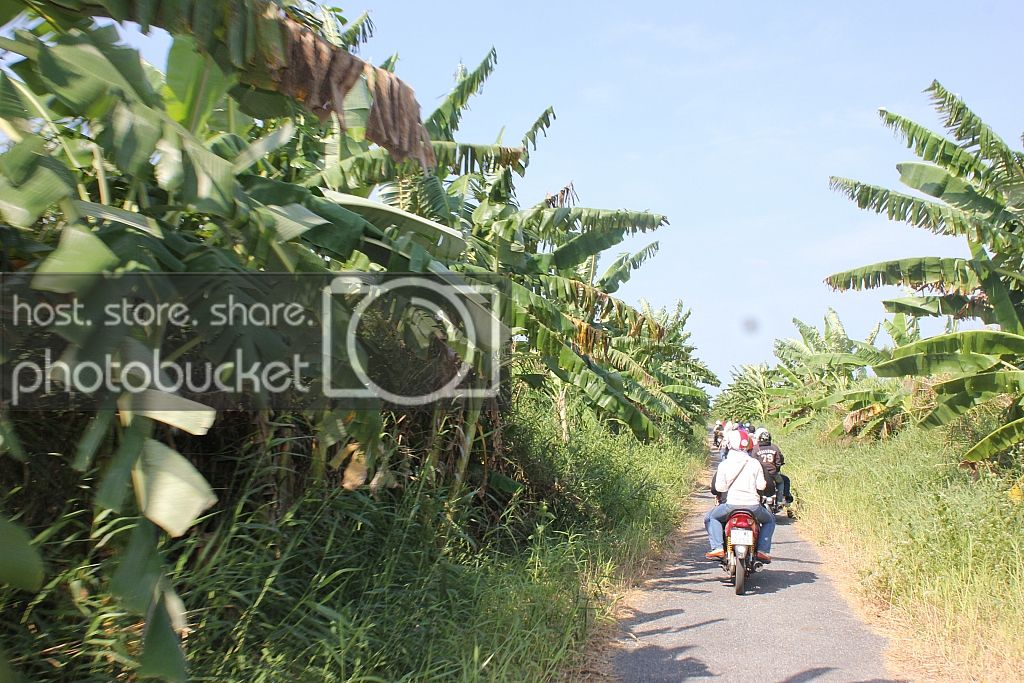 IMG_5822_zps64290748.jpg