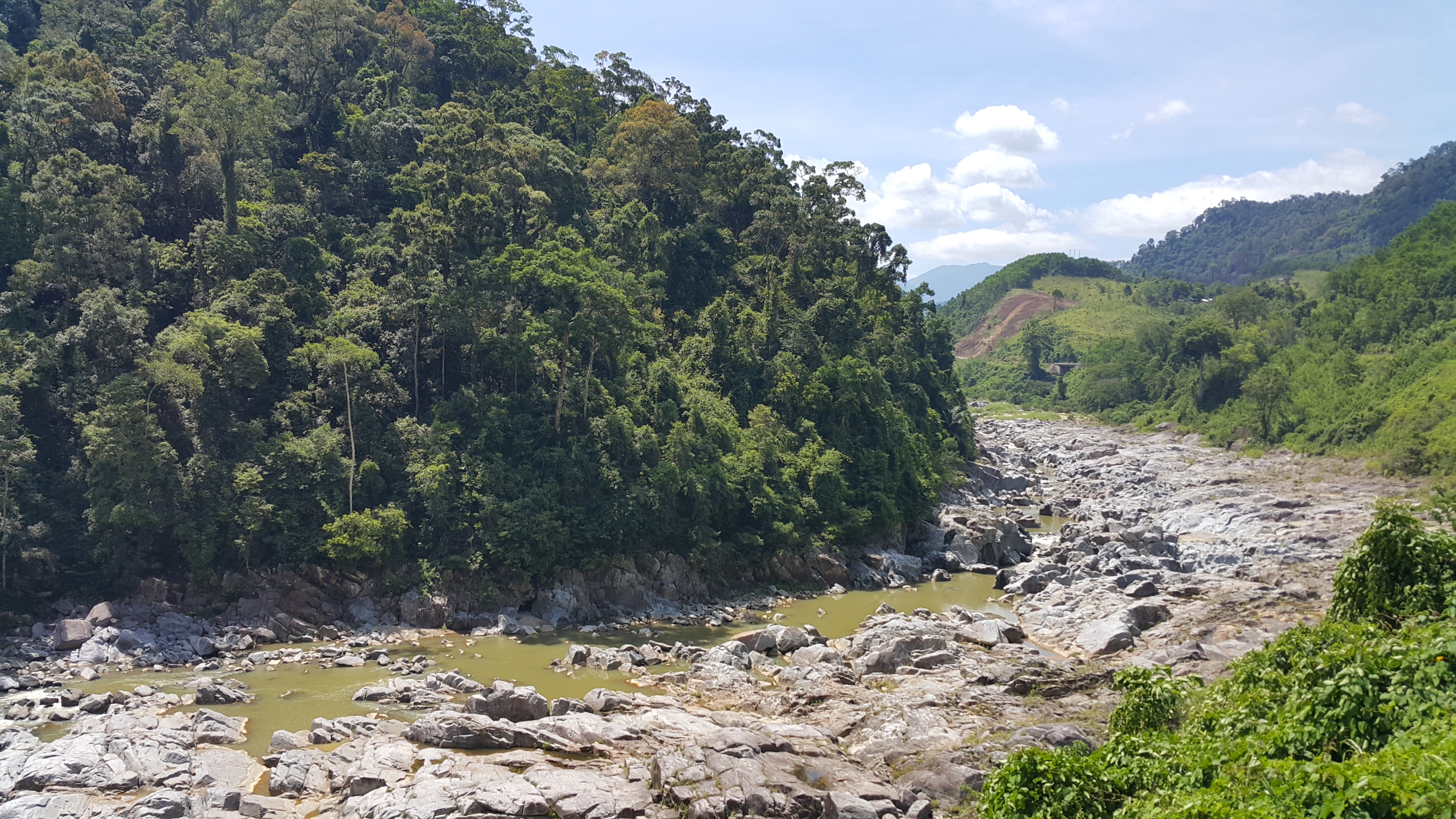 20170616_102043.jpg