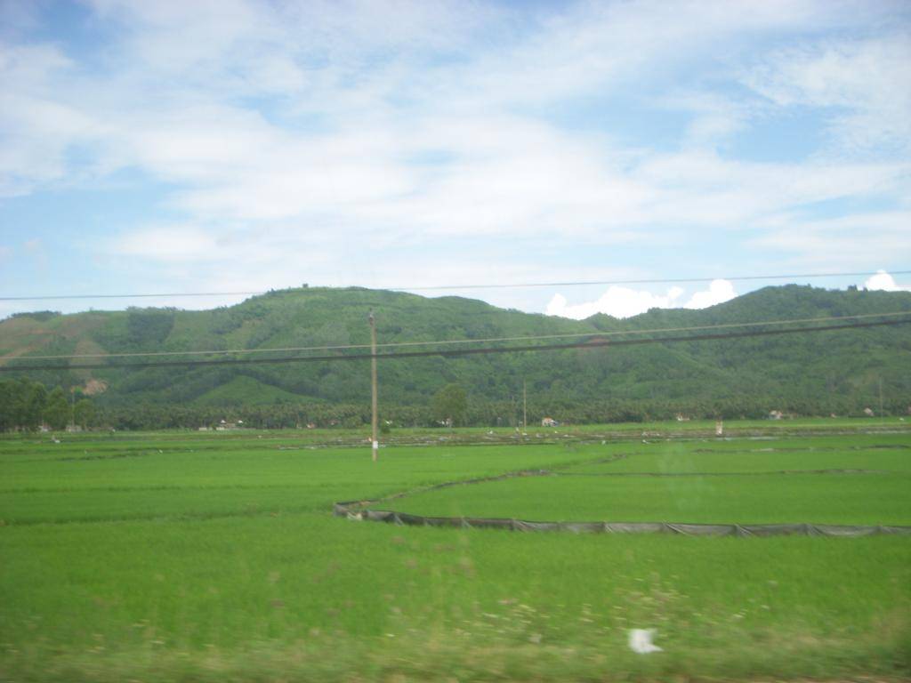 DSCN4179_zps61a708f8.jpg