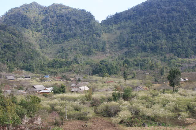 longluong14.jpg