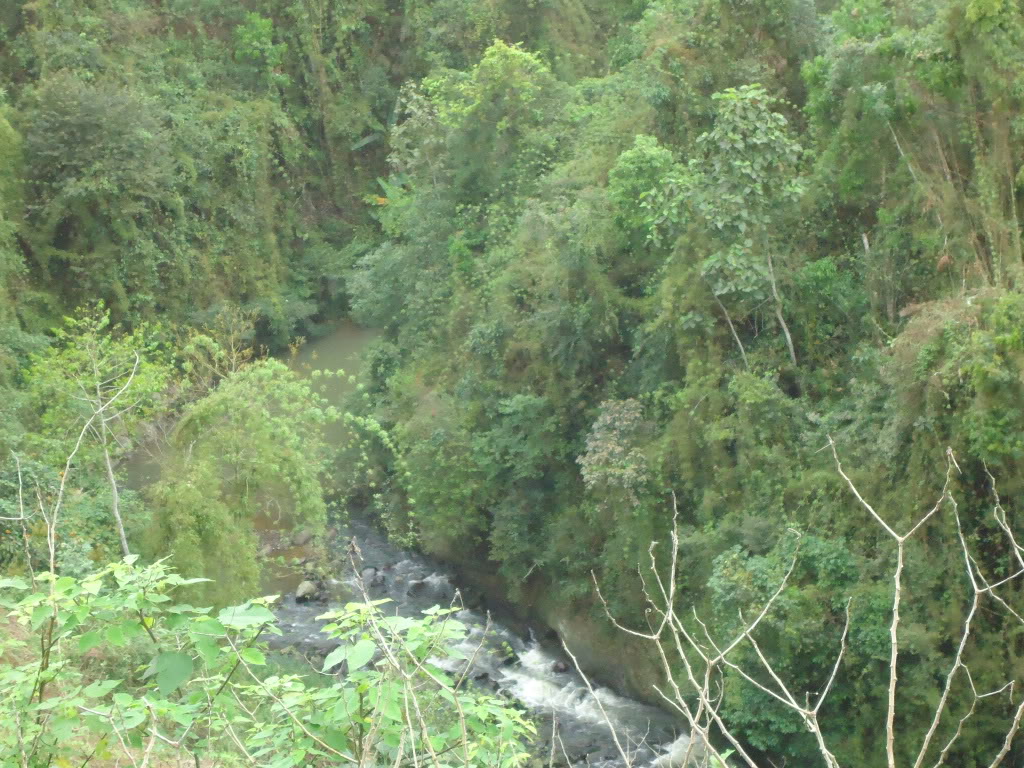 DSC01072.jpg