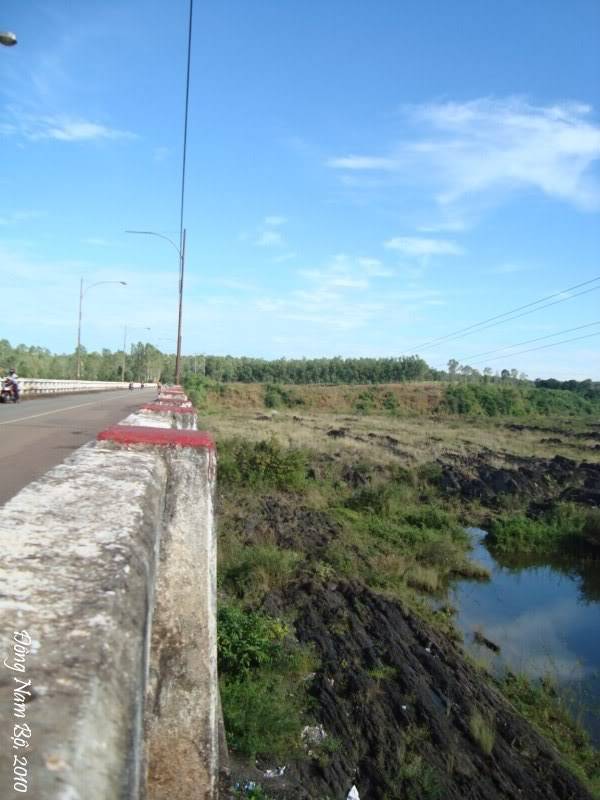 d57502e1.jpg