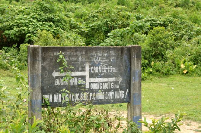 DSC_0136.jpg