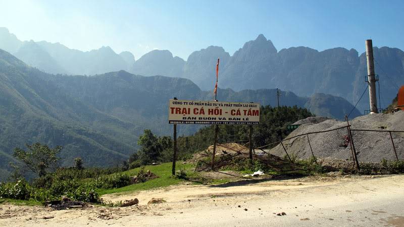 HongNgai2011137.jpg