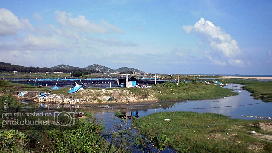 172_zps23b7192e.jpg