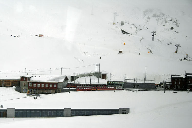 _MG_7083.jpg