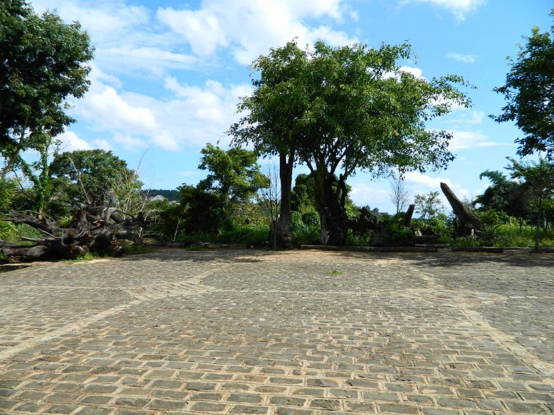 DSCN1796.jpg