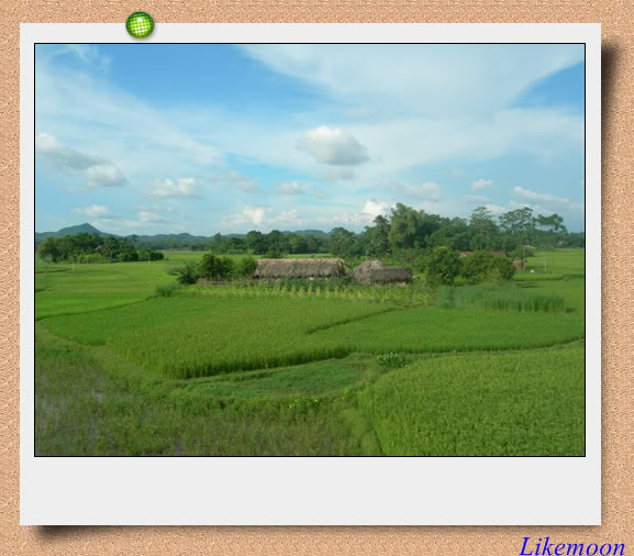 DSCN7366-2.jpg