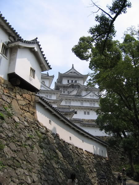 IMG_0532_resize.jpg