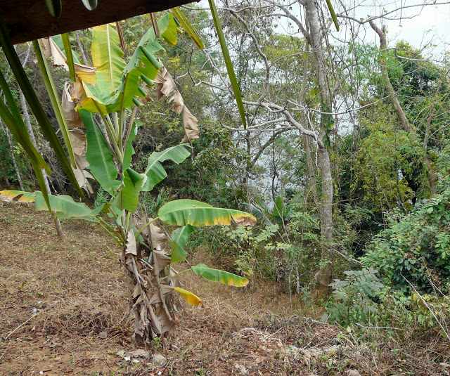 P1050622.JPG