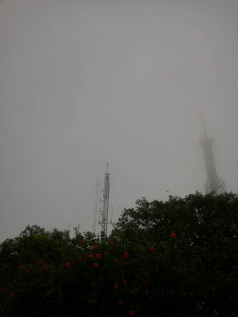 Photo0891.jpg