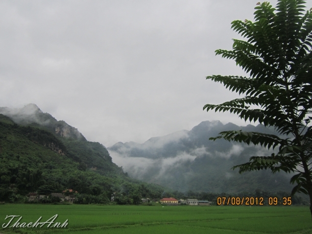 IMG_8565.jpg