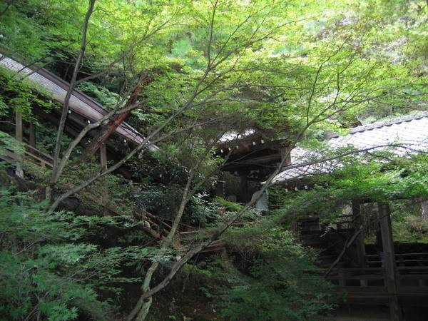 IMG_1125_resize.jpg