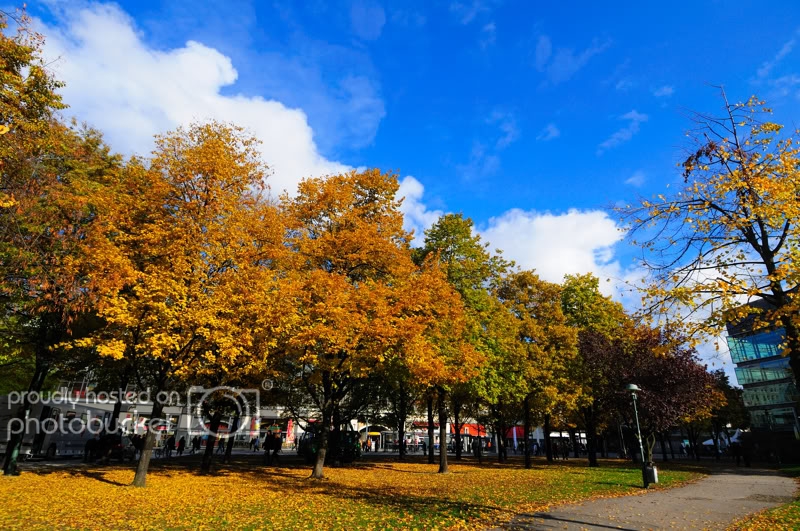 Duc-Berlin101.jpg