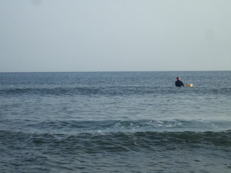 DSCF7096.jpg